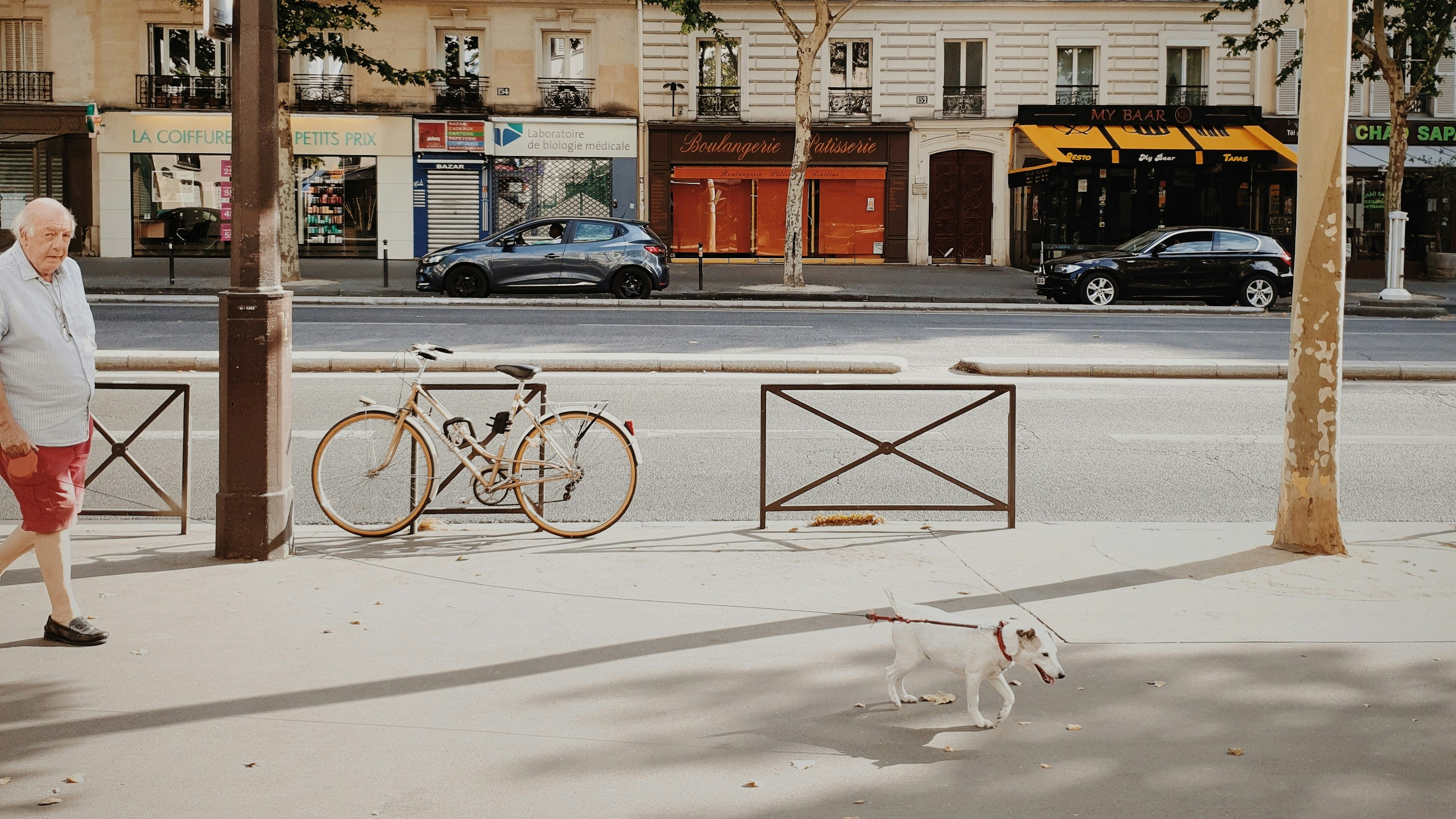 white short coated medium sized dog on road during daytime